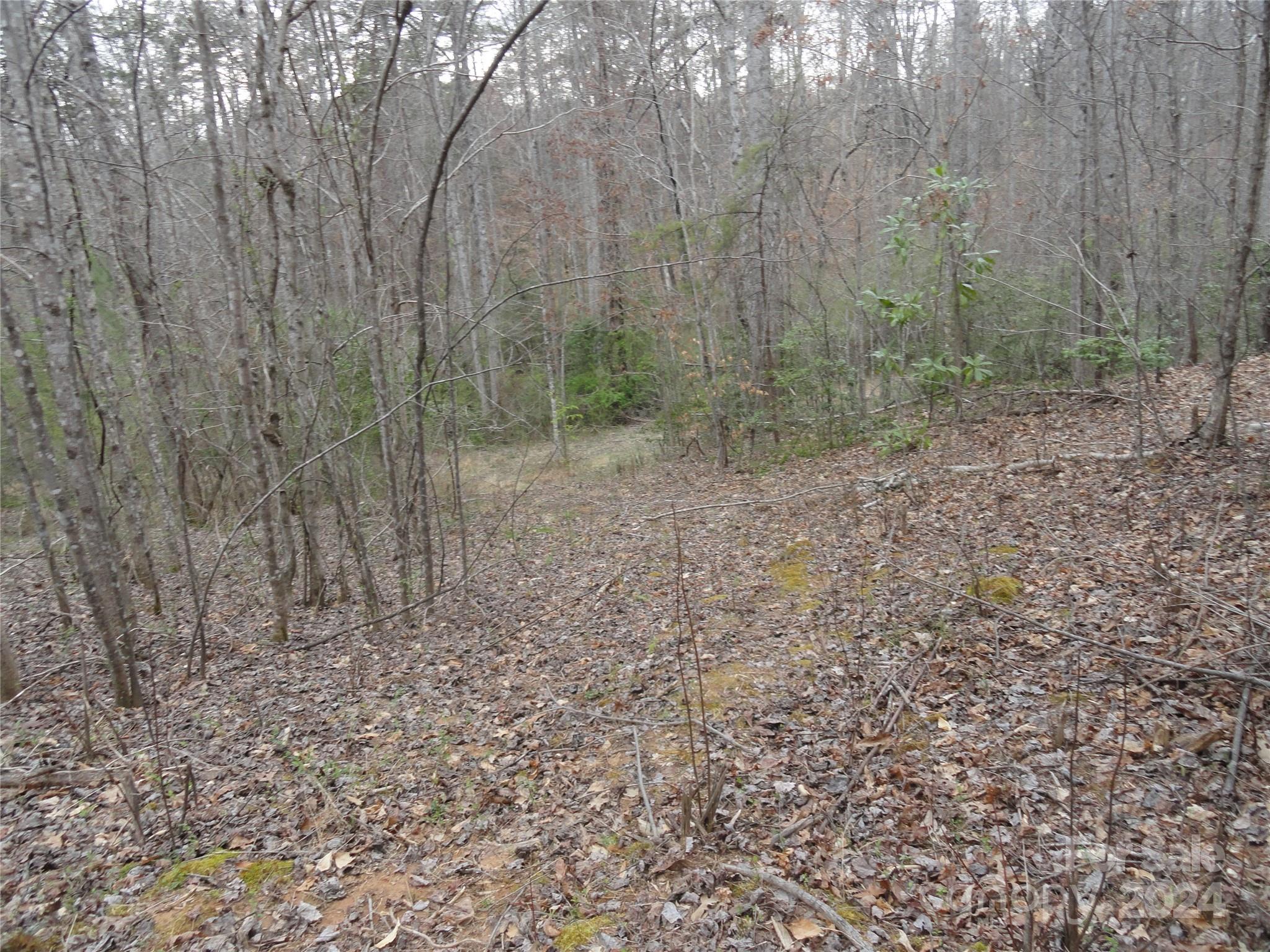 Tbd Mc Kinney Road Marion, NC 28752 - Photo 4 of 16 Gallery Image 4