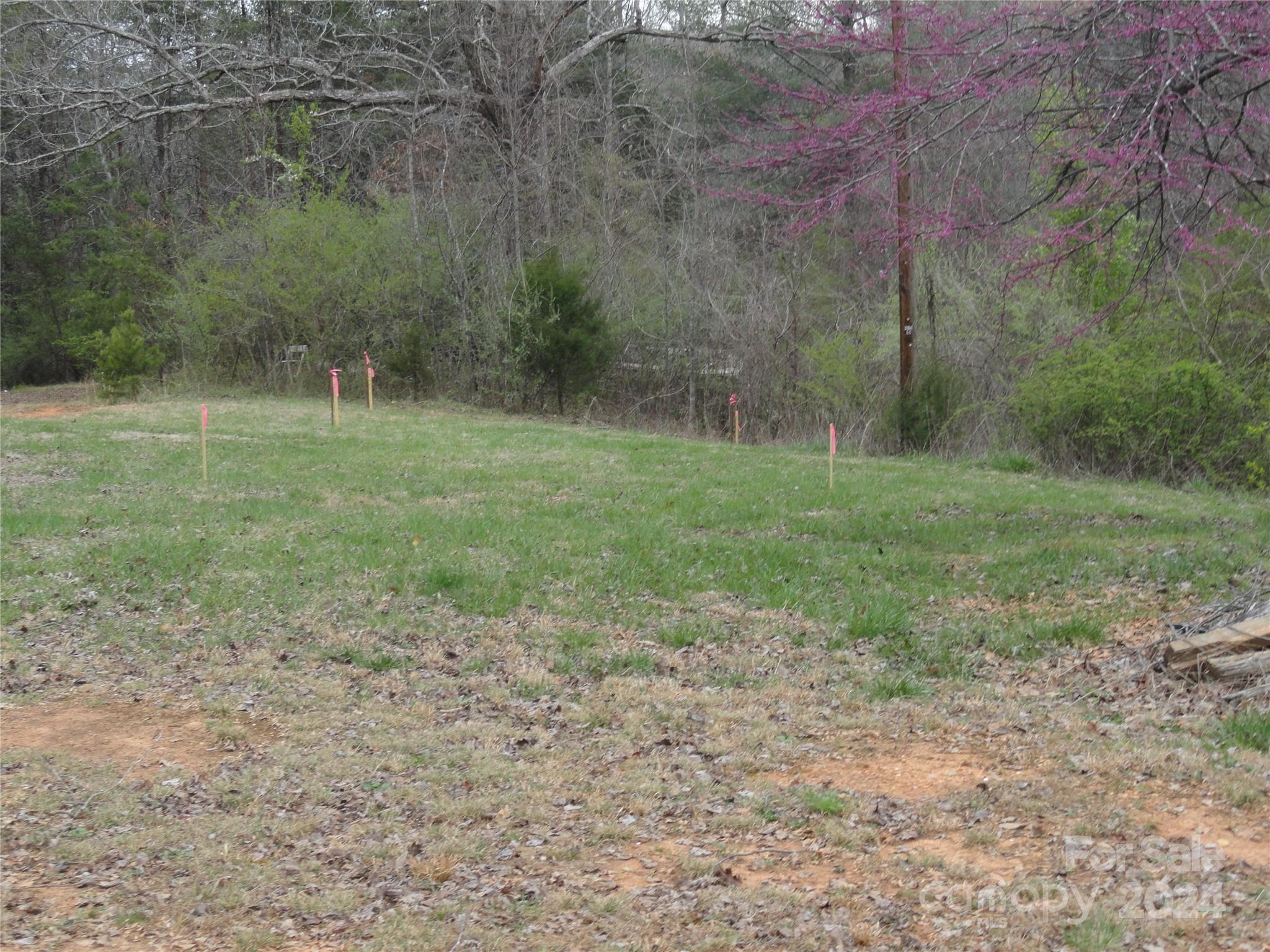 Tbd Mc Kinney Road Marion, NC 28752 - Photo 5 of 16 Gallery Image 5