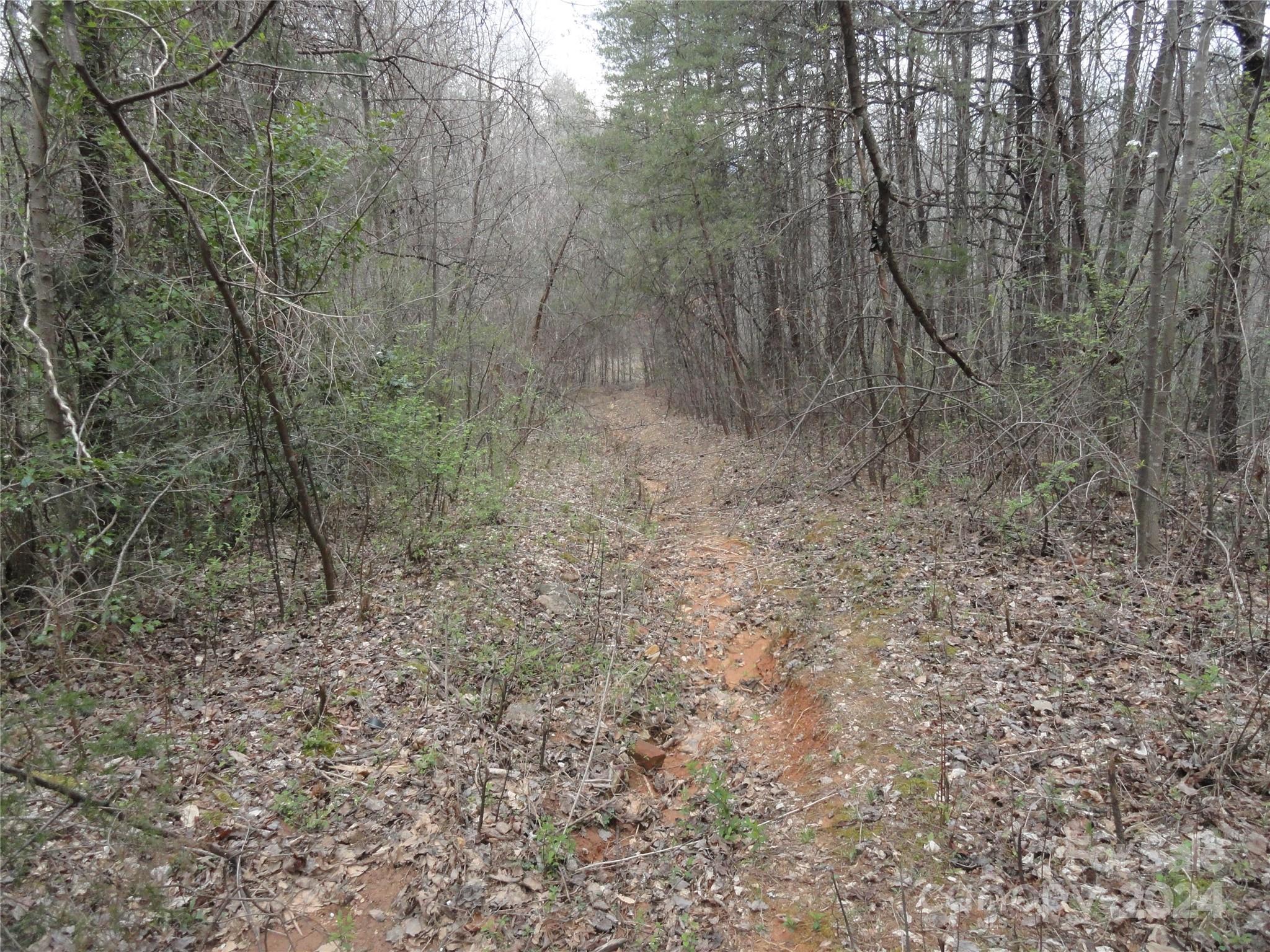 Tbd Mc Kinney Road Marion, NC 28752 - Photo 6 of 16 Gallery Image 6