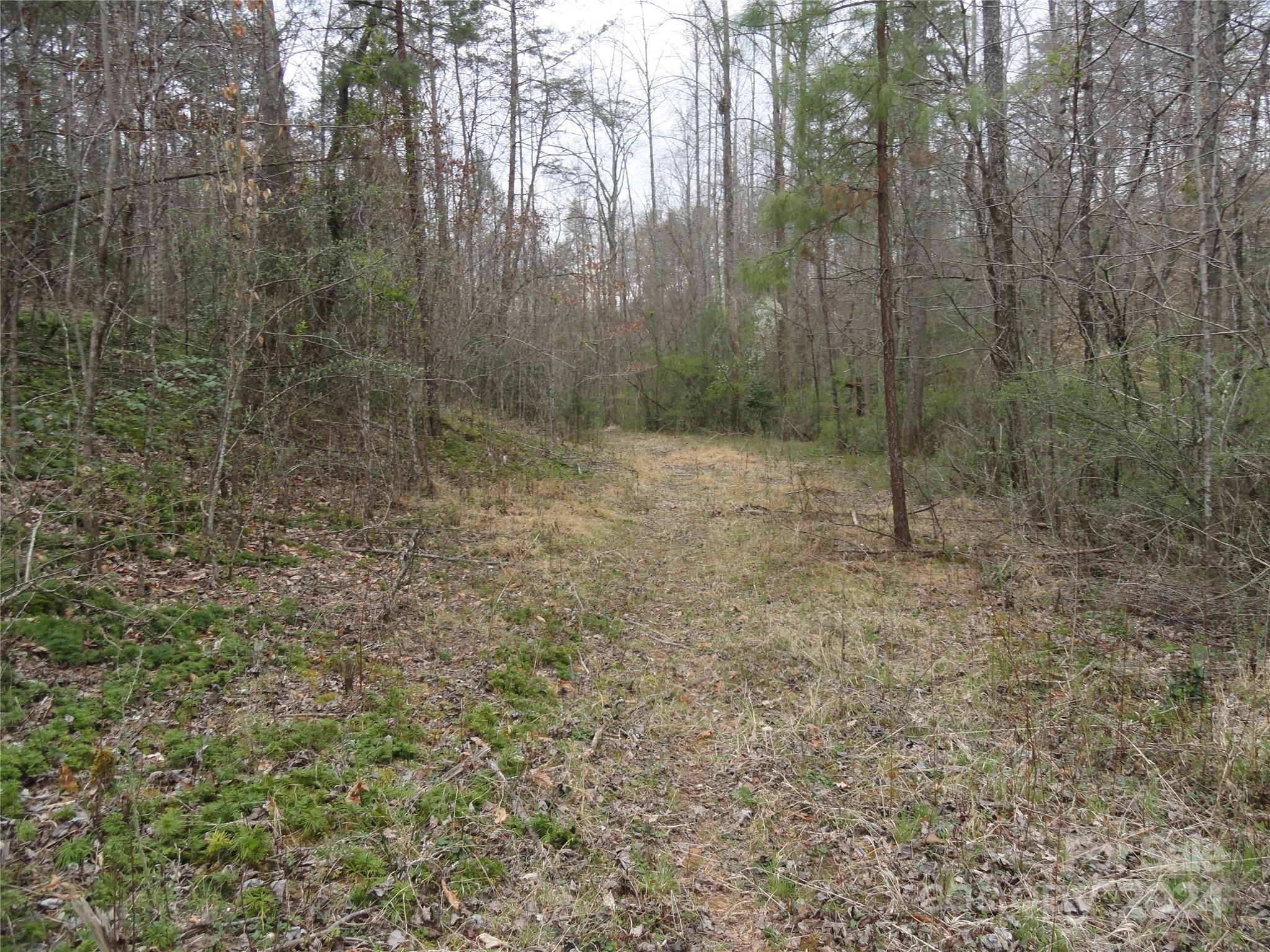 Tbd Mc Kinney Road Marion, NC 28752 - Photo 9 of 16 Gallery Image 9