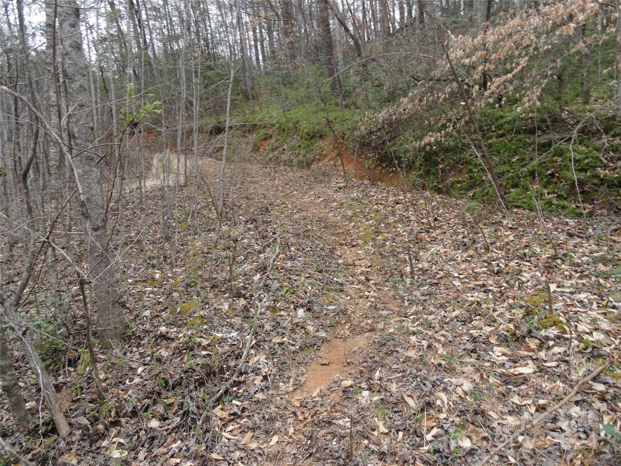 Tbd Mc Kinney Road Marion, NC 28752 - Photo 10 of 16 Gallery Image 10