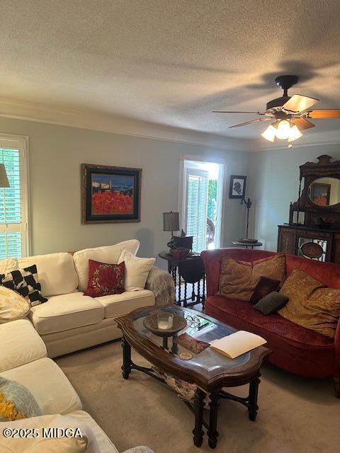 584 High Point N Road Macon, GA 31210 - Photo 3 of 24 3
