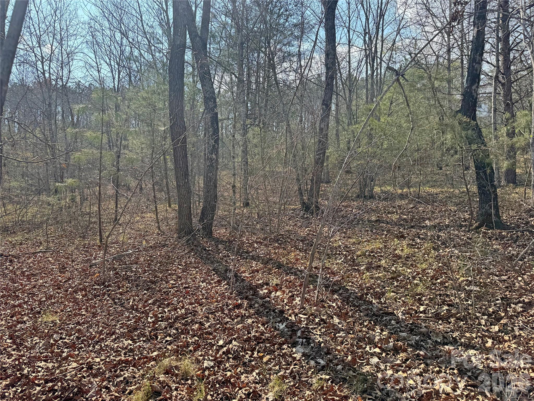 Vl Amberwood Place, Unit 17 Rutherfordton, NC 28139 - Photo 12 of 18 a view of a yard with trees in the background