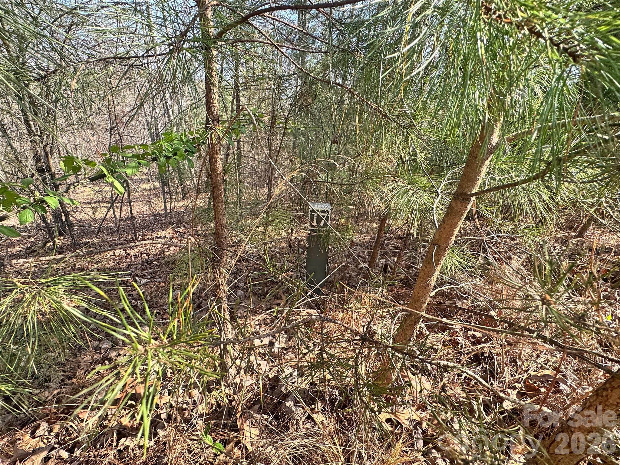 Vl Amberwood Place, Unit 17 Rutherfordton, NC 28139 - Photo 14 of 18 a view of a yard with a tree