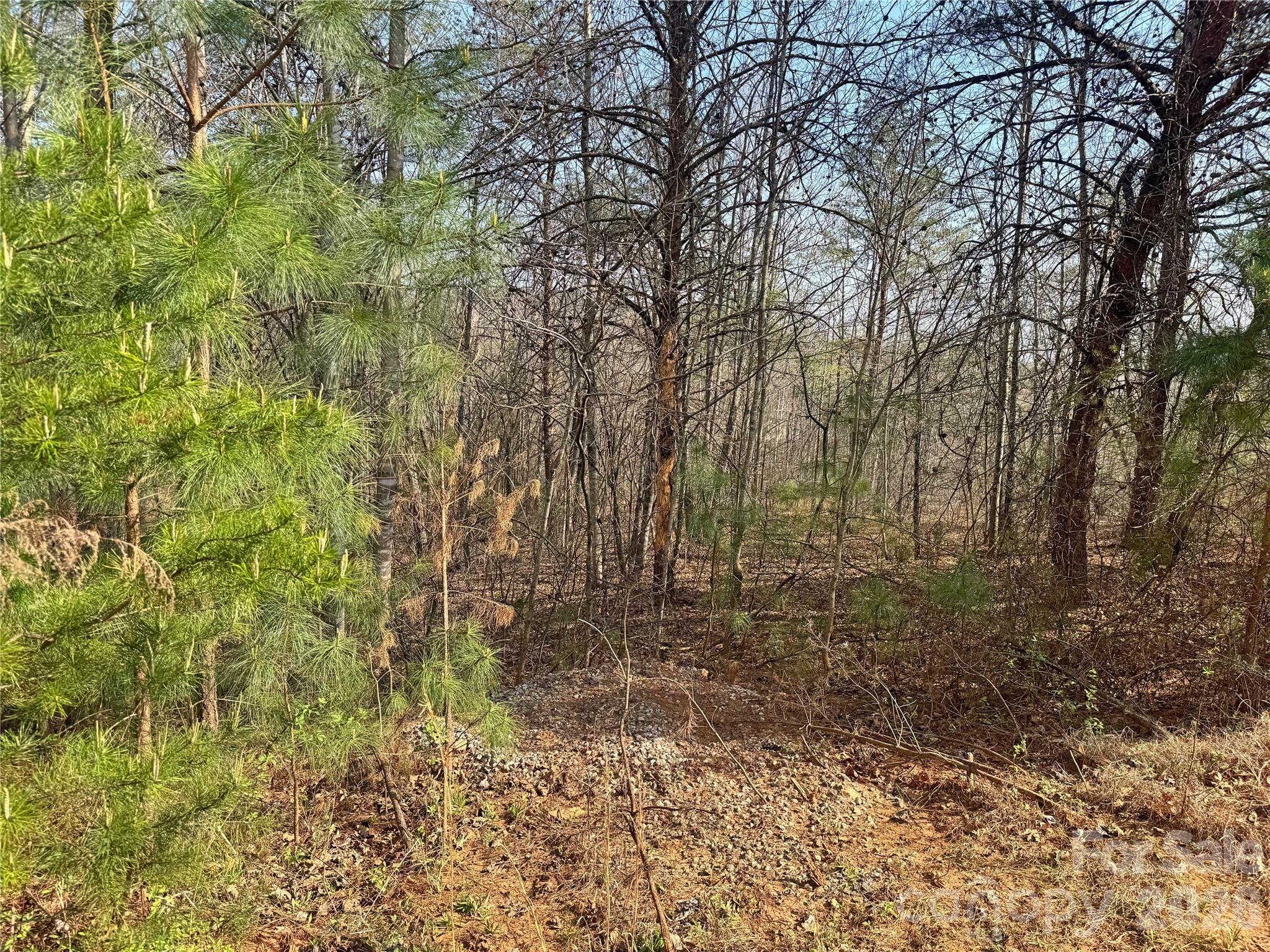 Vl Amberwood Place, Unit 17 Rutherfordton, NC 28139 - Photo 15 of 18 a view of a yard with large trees