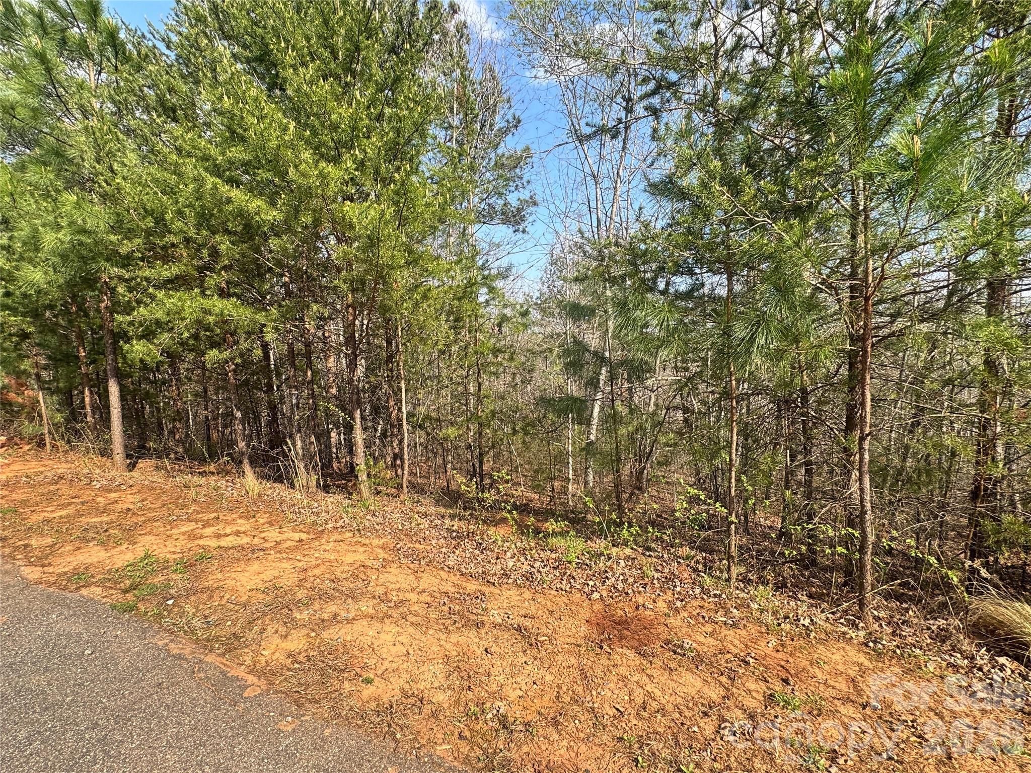 Vl Amberwood Place, Unit 17 Rutherfordton, NC 28139 - Photo 18 of 18 a view of outdoor space with trees