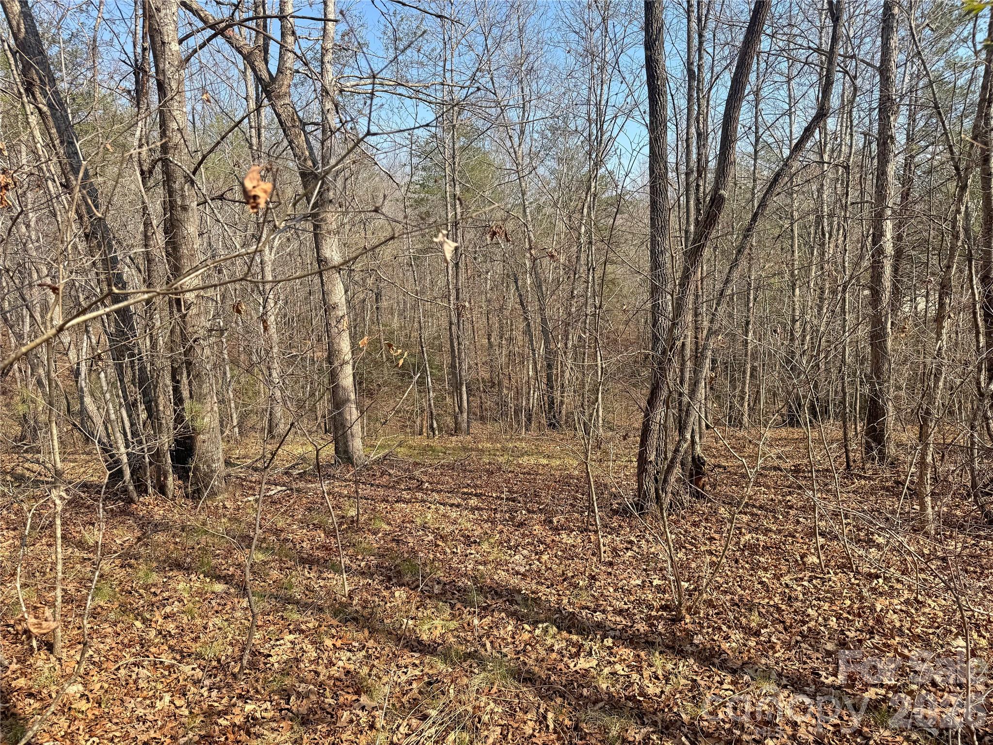 Vl Amberwood Place, Unit 17 Rutherfordton, NC 28139 - Photo 2 of 18 a backyard of a house with lots of green space