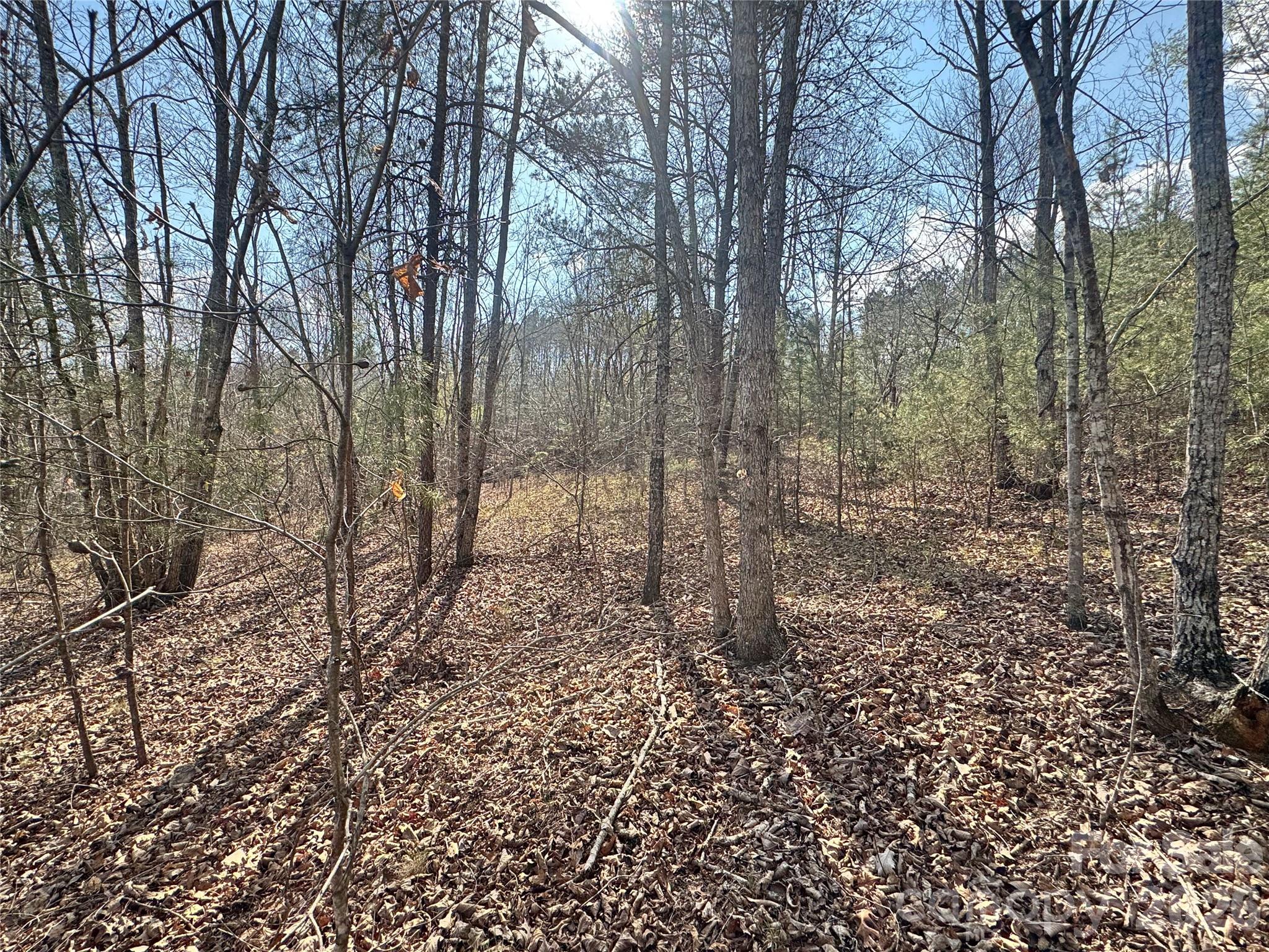 Vl Amberwood Place, Unit 17 Rutherfordton, NC 28139 - Photo 4 of 18 a view of a forest with trees