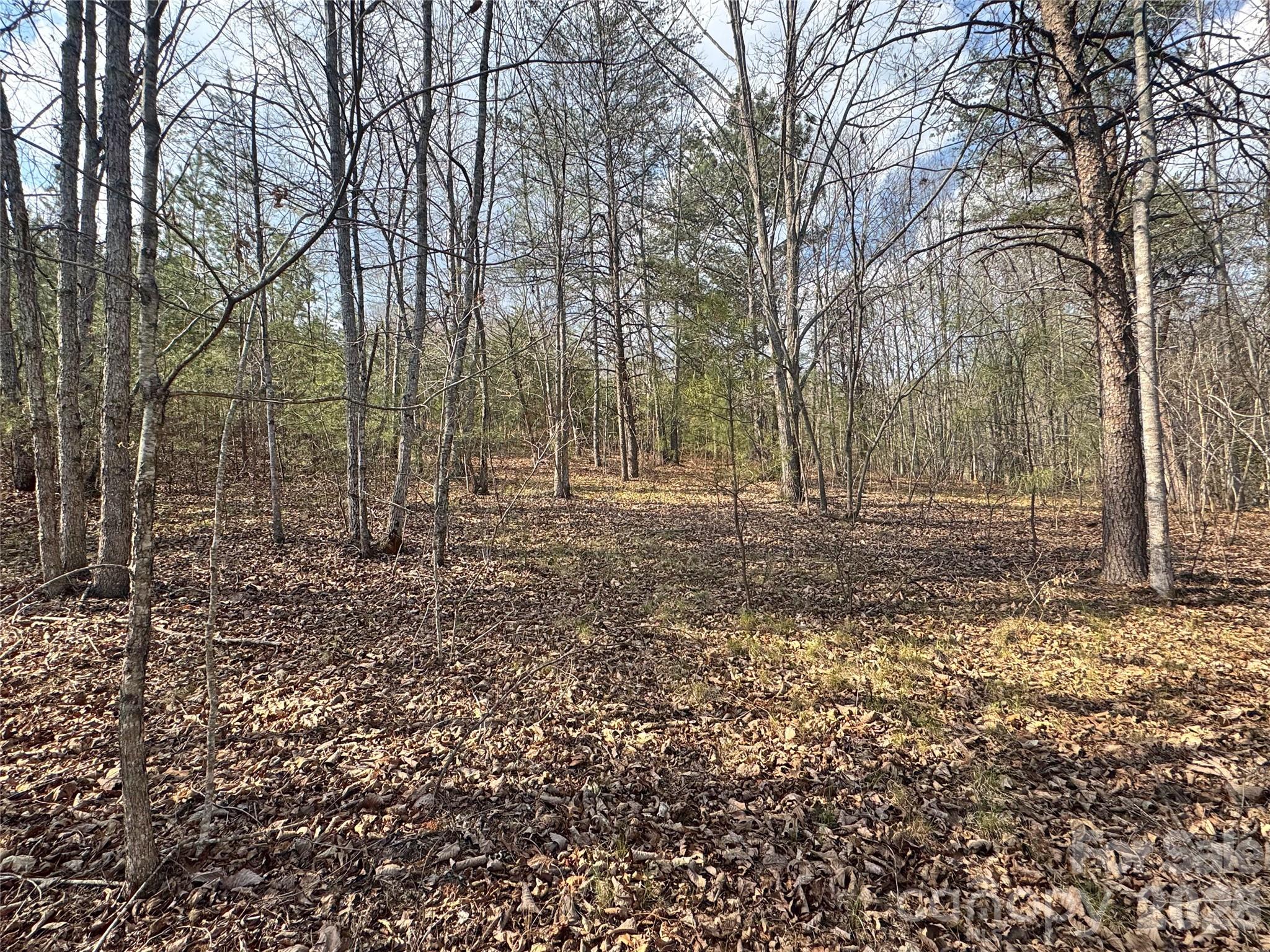 Vl Amberwood Place, Unit 17 Rutherfordton, NC 28139 - Photo 5 of 18 a view of outdoor space with trees