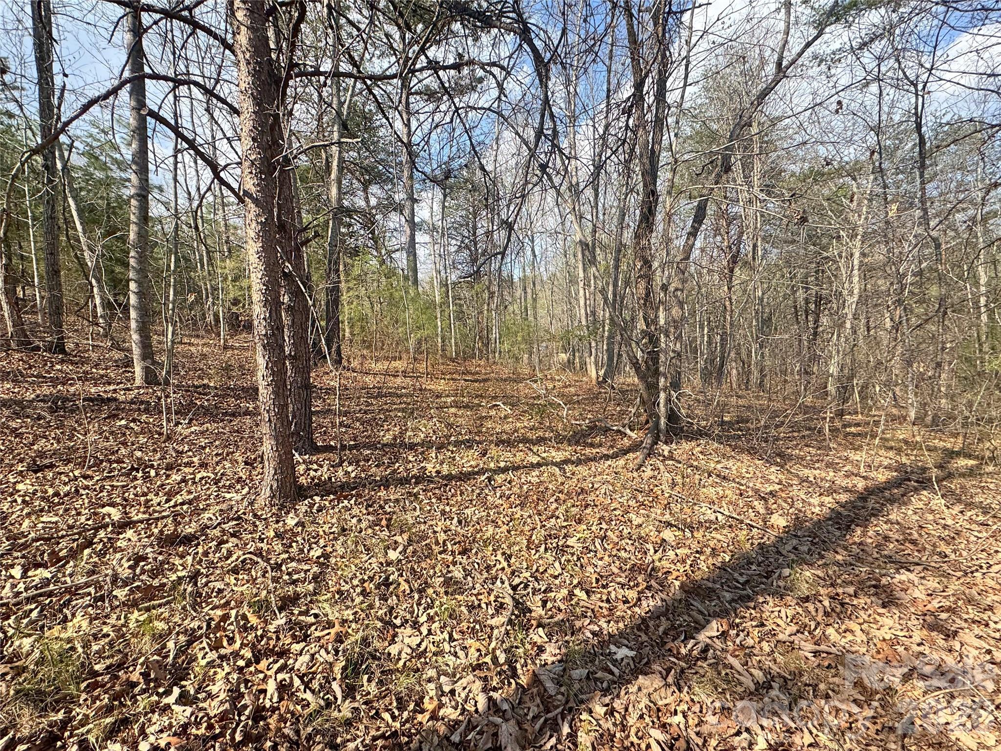 Vl Amberwood Place, Unit 17 Rutherfordton, NC 28139 - Photo 6 of 18 a view of a yard with trees