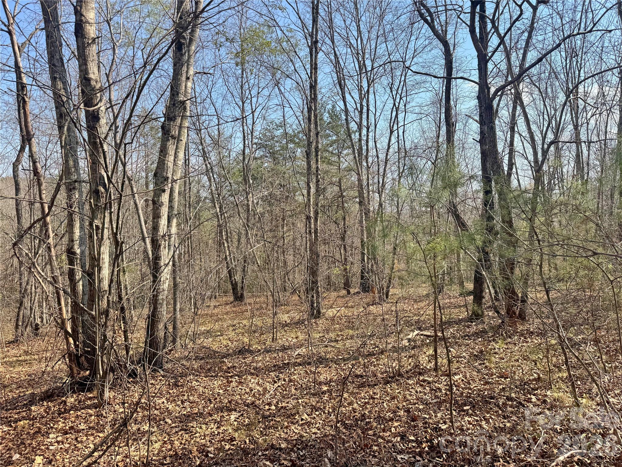 Vl Amberwood Place, Unit 17 Rutherfordton, NC 28139 - Photo 8 of 18 a backyard of a house with lots of green space