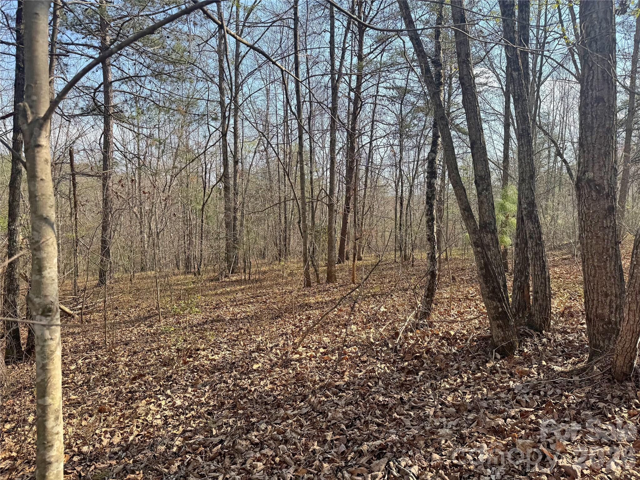 Vl Amberwood Place, Unit 17 Rutherfordton, NC 28139 - Photo 10 of 18 a view of a yard with trees