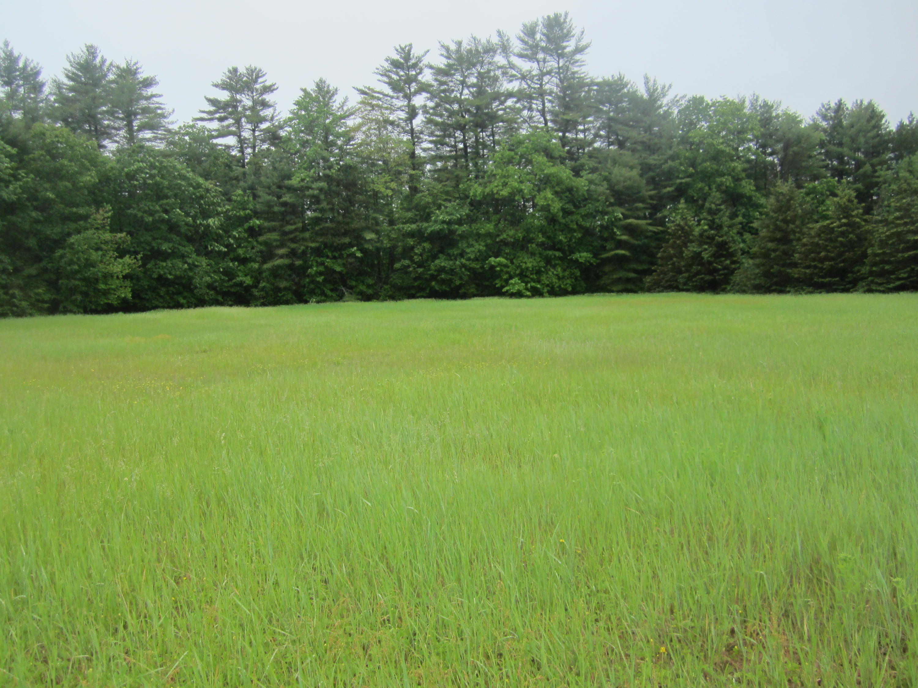 517 Bailey Hill Road Poland, ME 04274 - Photo 2 of 12 IMG_4800