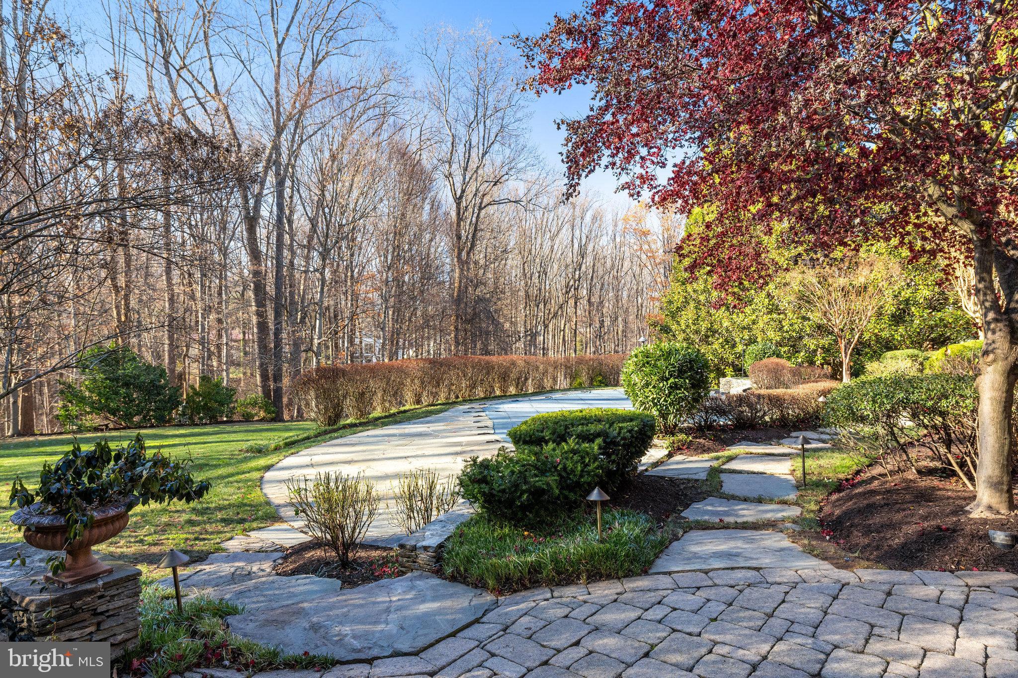 1064 Silent Ridge Court McLean, VA 22102 - Photo 64 of 70 a view of a yard with plants and large trees