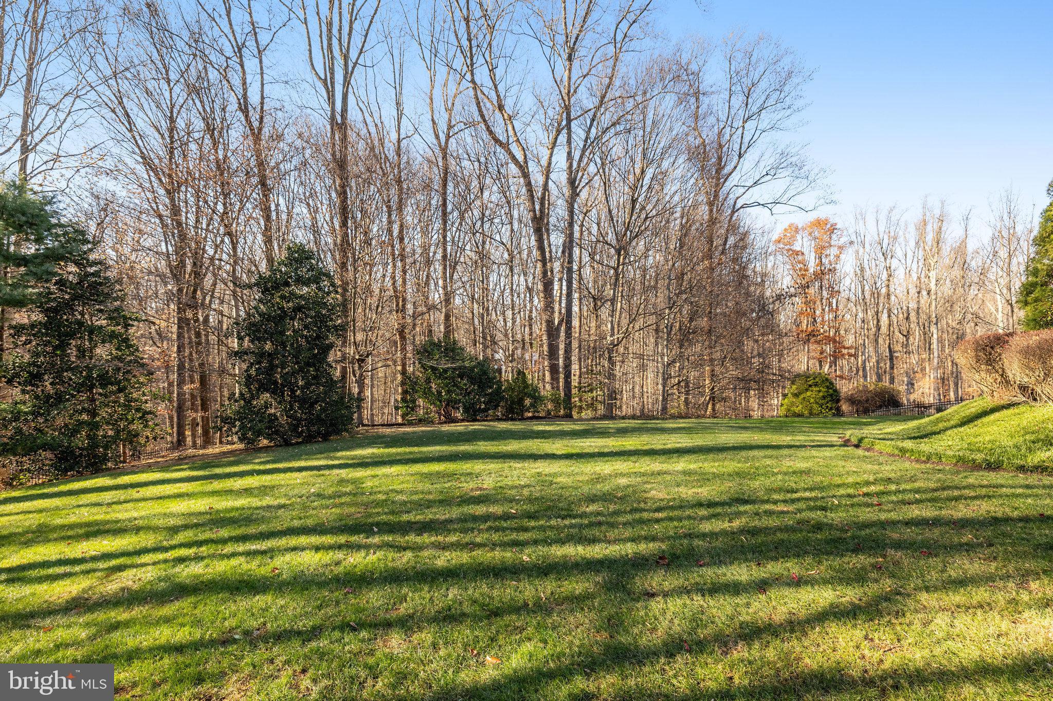 1064 Silent Ridge Court McLean, VA 22102 - Photo 65 of 70 a big yard with trees in the background