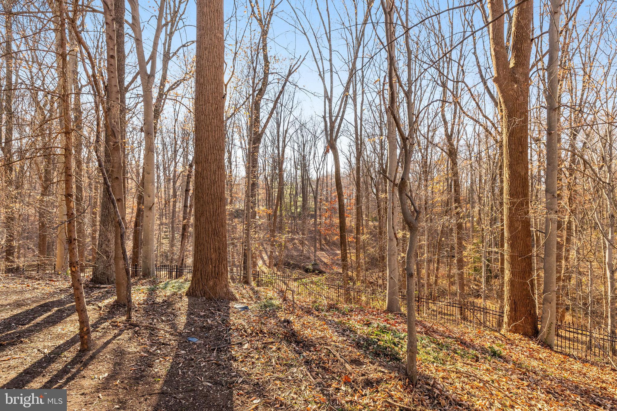 1064 Silent Ridge Court McLean, VA 22102 - Photo 66 of 70