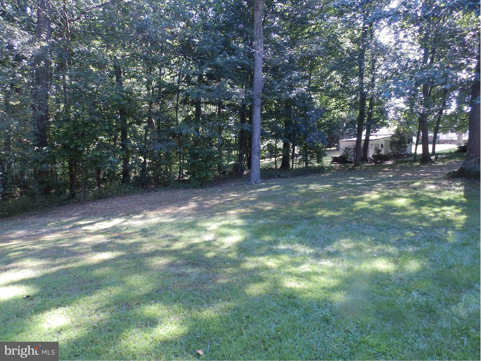5250 Hoffmanville Road Manchester, MD 21102 - Photo 29 of 29 a view of a trees in a yard