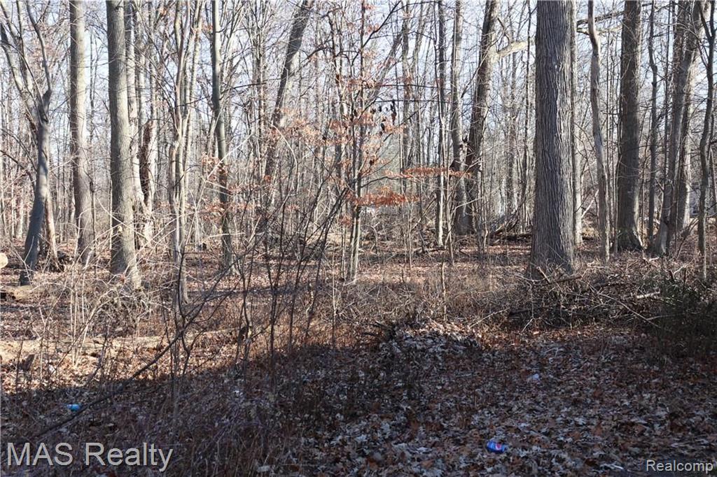 21420 Orchard Lake Road Farmington, MI 48336 - Photo 23 of 27