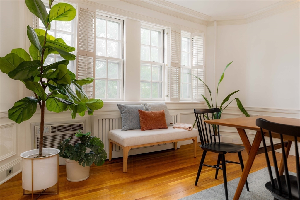 984 Memorial Drive, Unit 984503 Cambridge, MA 02138 - Photo 11 of 30 a living room with furniture a potted plant and a potted plant