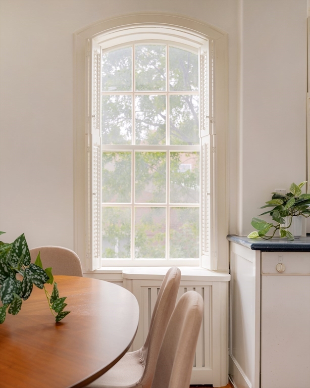984 Memorial Drive, Unit 984503 Cambridge, MA 02138 - Photo 17 of 30 a living room with furniture and a potted plant