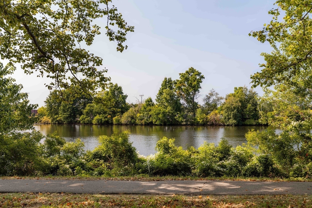 984 Memorial Drive, Unit 984503 Cambridge, MA 02138 - Photo 27 of 30 a view of a lake with houses in the background