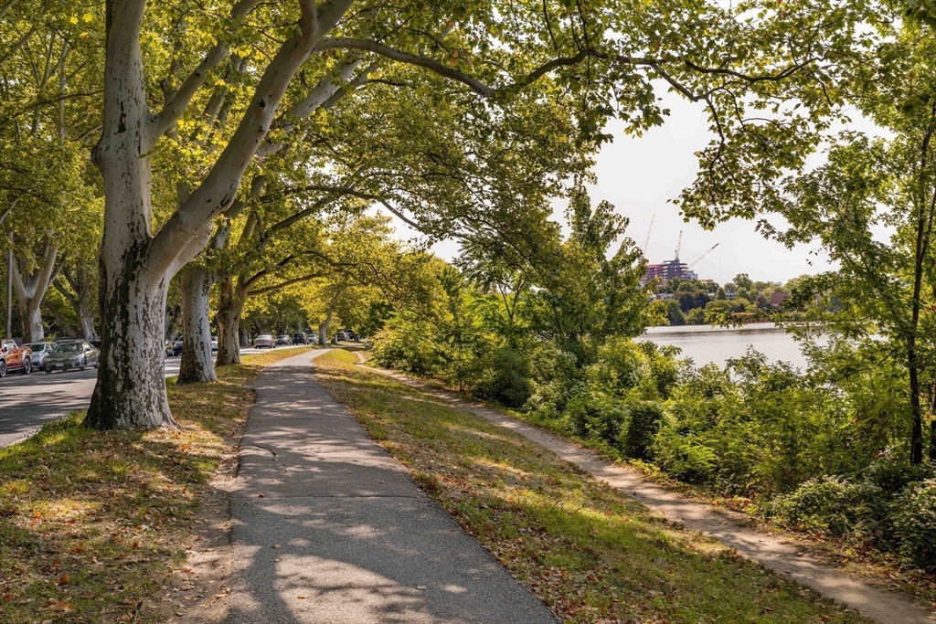 984 Memorial Drive, Unit 984503 Cambridge, MA 02138 - Photo 28 of 30 a view of a yard with plants and trees