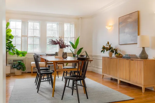 a living room with furniture a potted plant and a potted plant