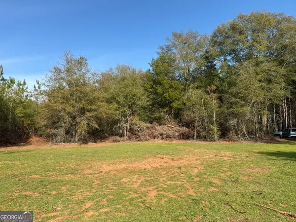 a view of a pool with a yard