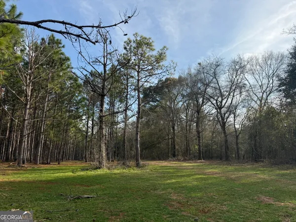 a yard with trees in the background