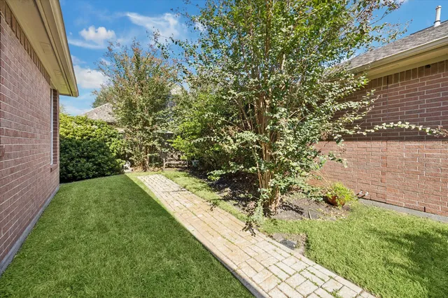 a view of a yard with plants