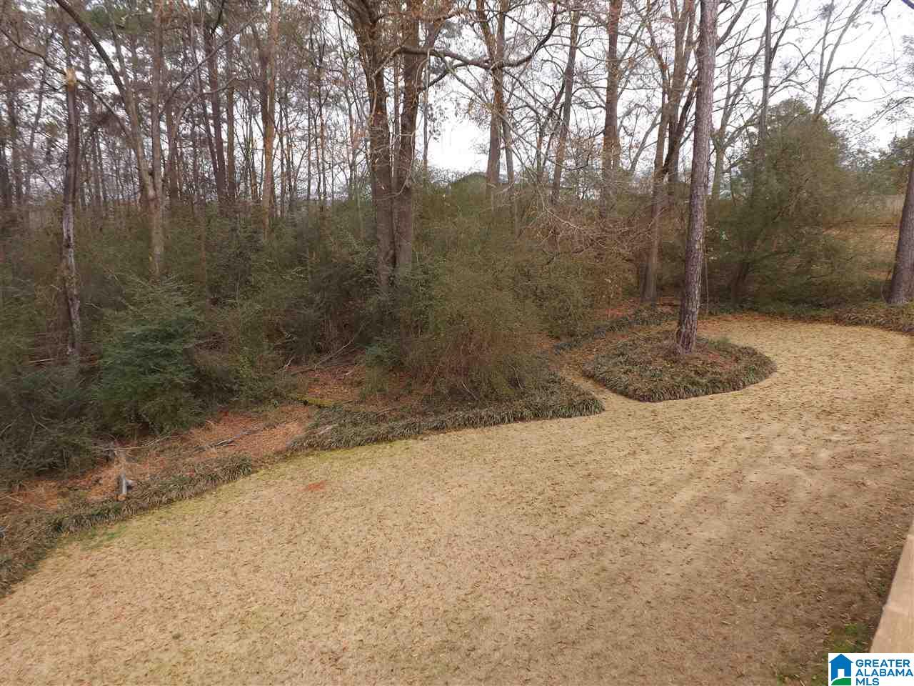 10 Monte Bello Lane Montevallo, AL 35115 - Photo 37 of 45