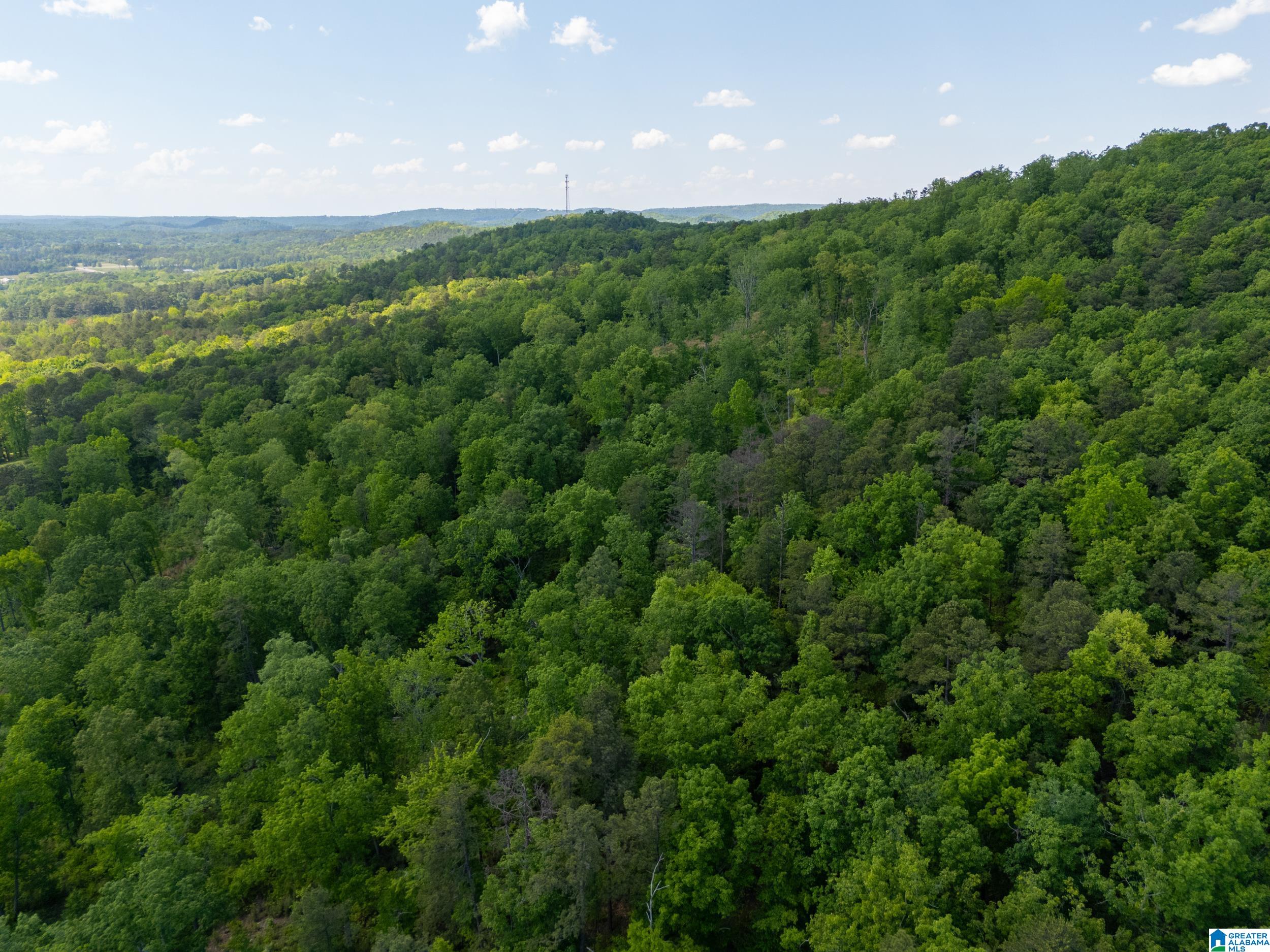 0 Highway 174, Unit 1 Springville, AL 35146 - Photo 10 of 14