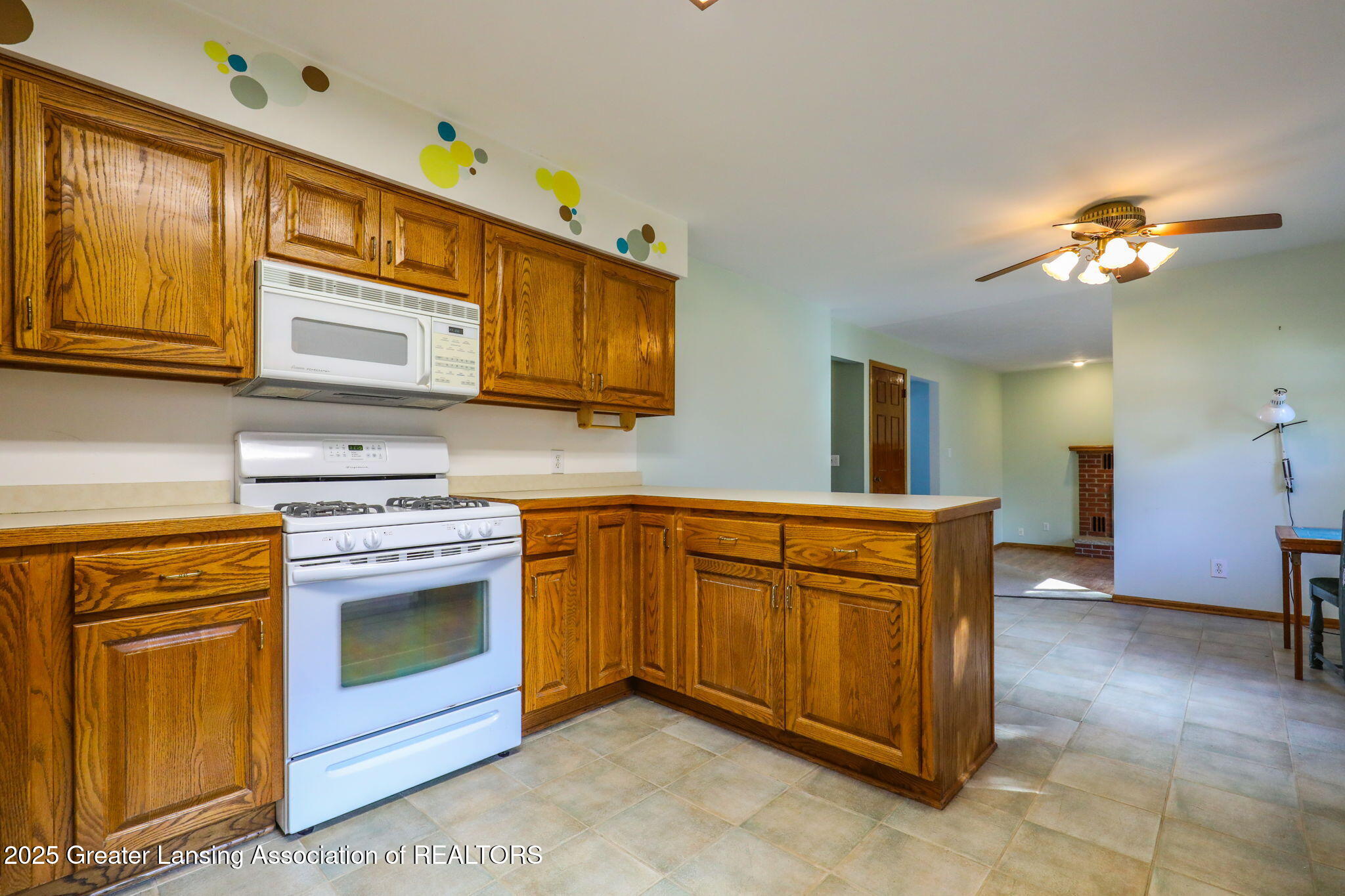 4200 East Round Lake Road Dewitt, MI 48820 - Photo 9 of 34 28-web-or-mls-9I3A2695