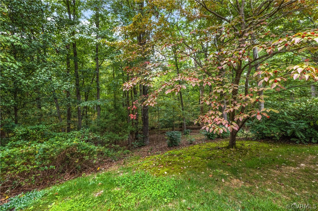 3022 River Hills Lane Midlothian, VA 23113 - Photo 43 of 45 a view of a lush green space