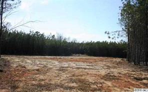 Lot C Hoke Road Heath Springs, SC 29058 - Photo 1 of 12 Gallery Image 1