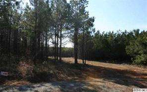 Lot C Hoke Road Heath Springs, SC 29058 - Photo 2 of 12 Gallery Image 2