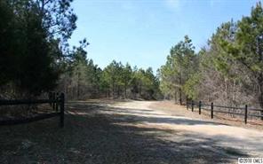 Lot C Hoke Road Heath Springs, SC 29058 - Photo 11 of 12 Gallery Image 11