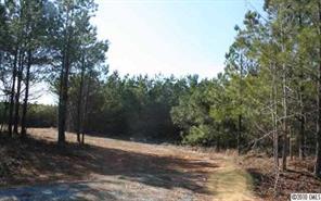 Lot C Hoke Road Heath Springs, SC 29058 - Photo 3 of 12 Gallery Image 3