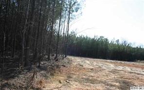 Lot C Hoke Road Heath Springs, SC 29058 - Photo 4 of 12 Gallery Image 4