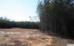 Lot C Hoke Road Heath Springs, SC 29058 - Photo 5 of 12 Gallery Image 5
