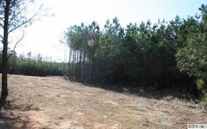 Lot C Hoke Road Heath Springs, SC 29058 - Photo 6 of 12 Gallery Image 6