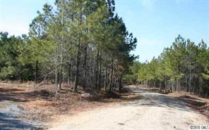 Lot C Hoke Road Heath Springs, SC 29058 - Photo 8 of 12 Gallery Image 8
