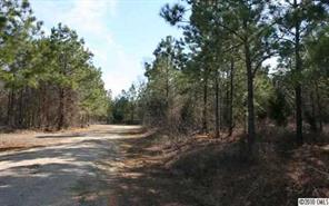 Lot C Hoke Road Heath Springs, SC 29058 - Photo 10 of 12 Gallery Image 10