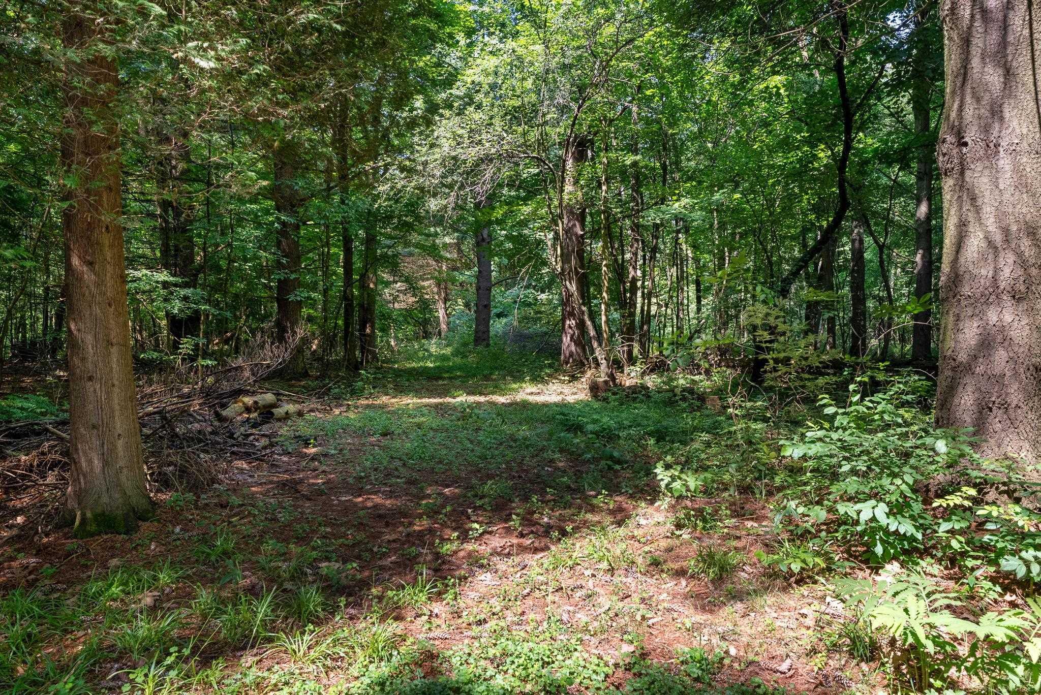 2630 Lakeshore Road Applegate, MI 48401 - Photo 34 of 39 50146405-f21b41c2-93f5-42e7-b96b-6ee7476fc3cb.JPG