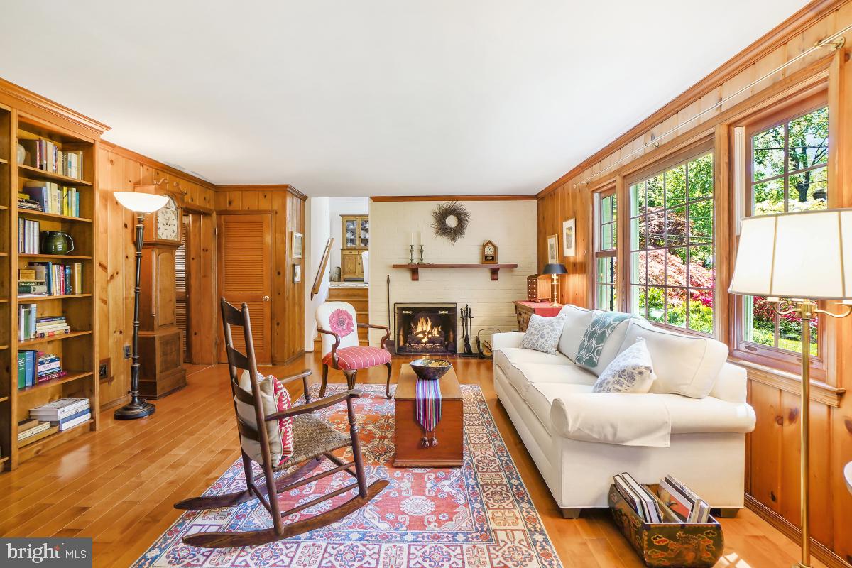 409 Hamilton Avenue Silver Spring, MD 20901 - Photo 33 of 46 gas fireplace