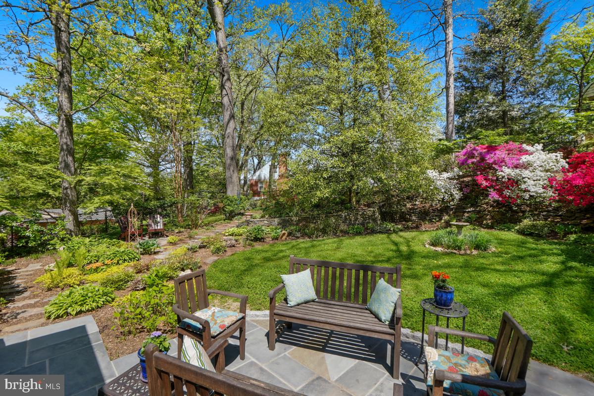 409 Hamilton Avenue Silver Spring, MD 20901 - Photo 41 of 46 slate patio