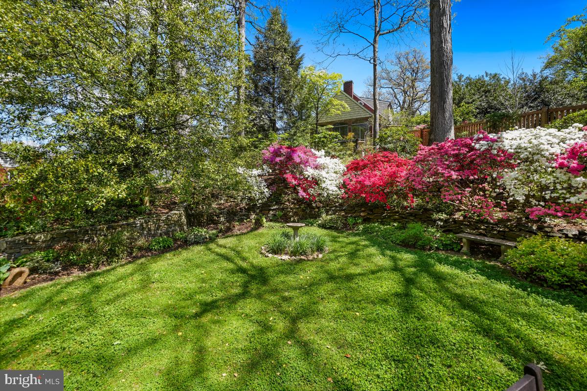 409 Hamilton Avenue Silver Spring, MD 20901 - Photo 42 of 46 private setting