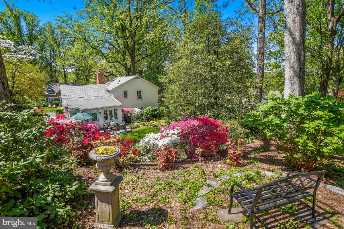 409 Hamilton Avenue Silver Spring, MD 20901 - Photo 43 of 46 secret garden with bench