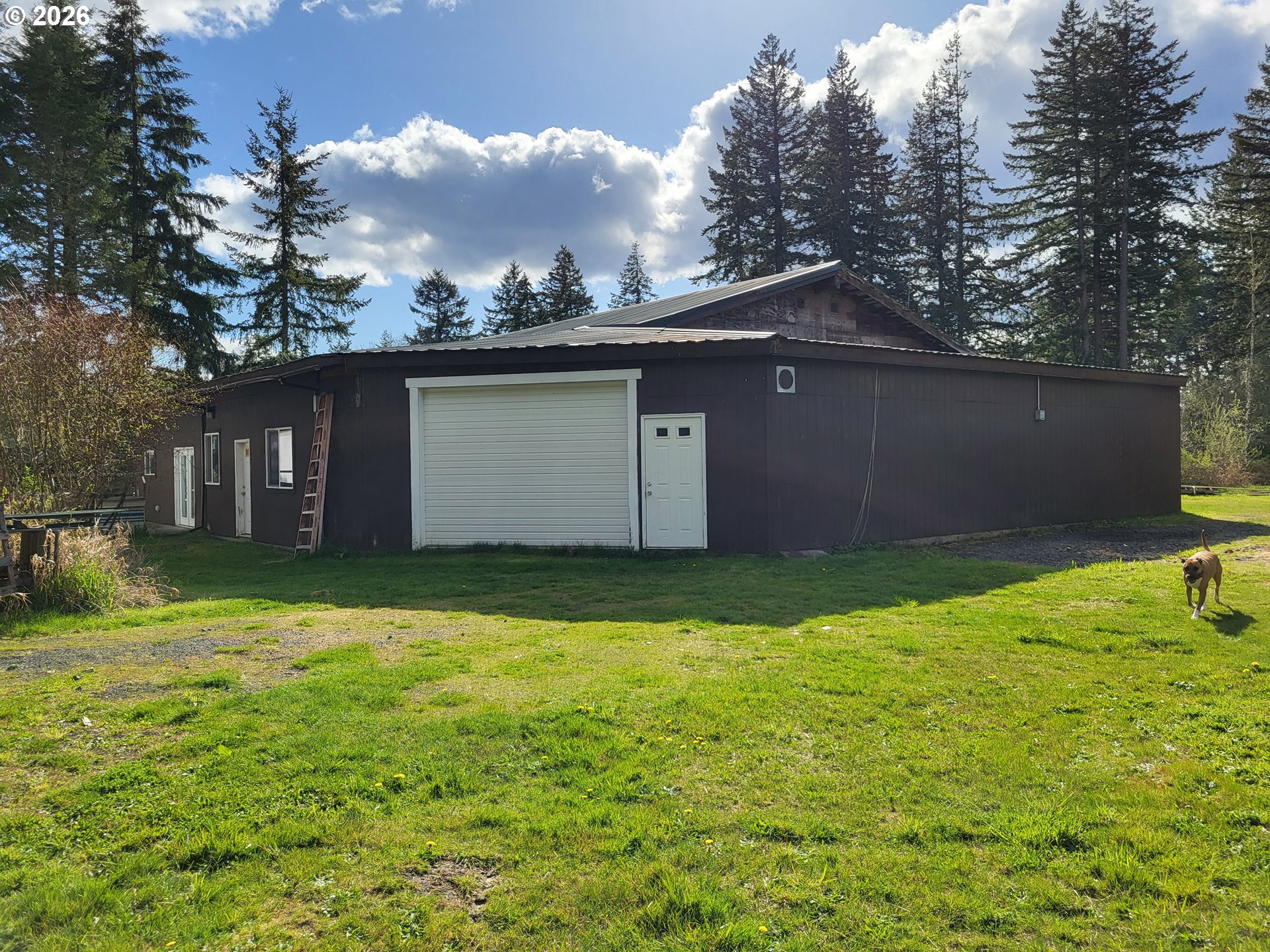 505 State Highway Winlock, WA 98596 - Photo 11 of 13 a backyard of a house with lots of green space
