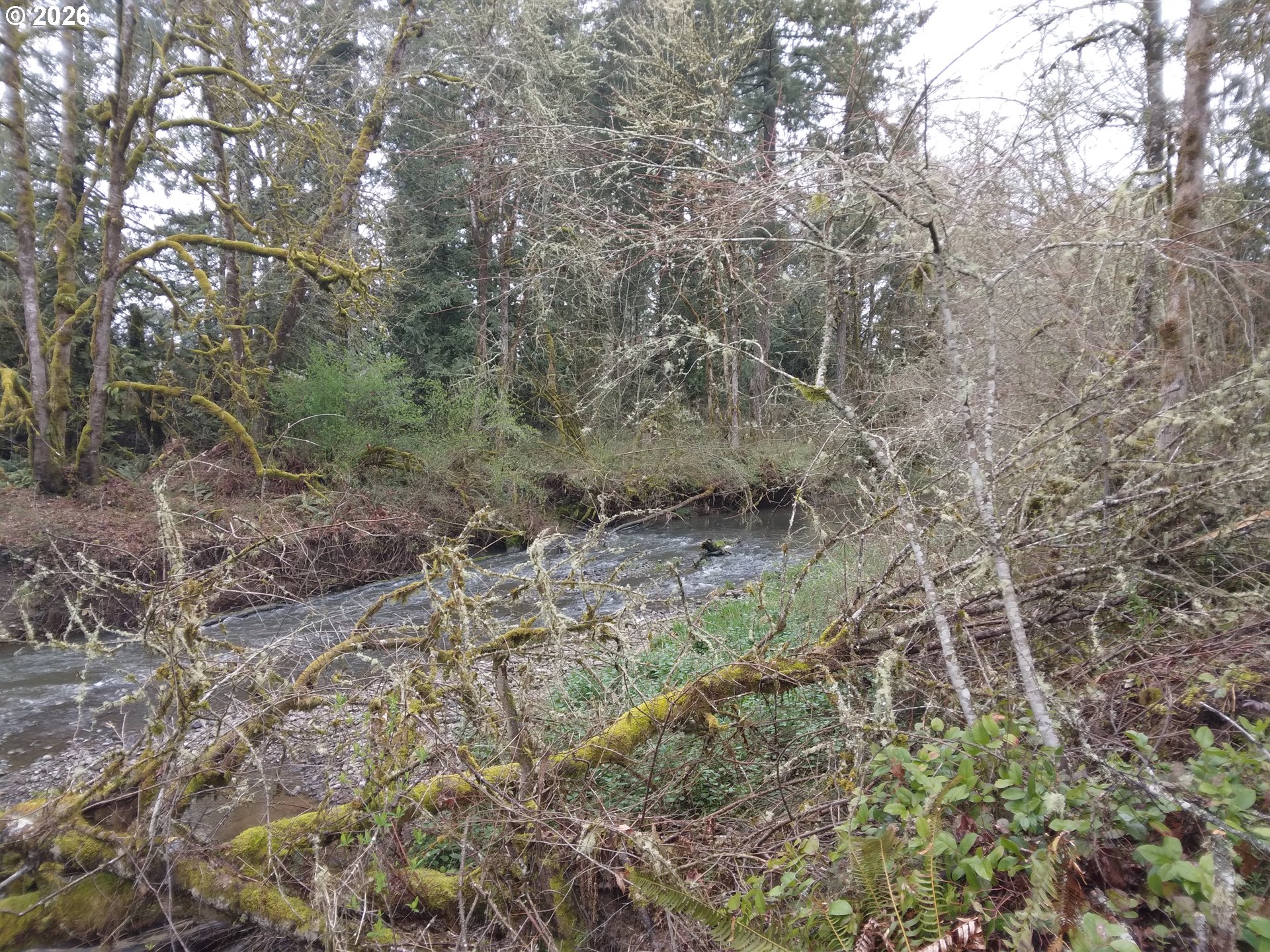 505 State Highway Winlock, WA 98596 - Photo 2 of 13